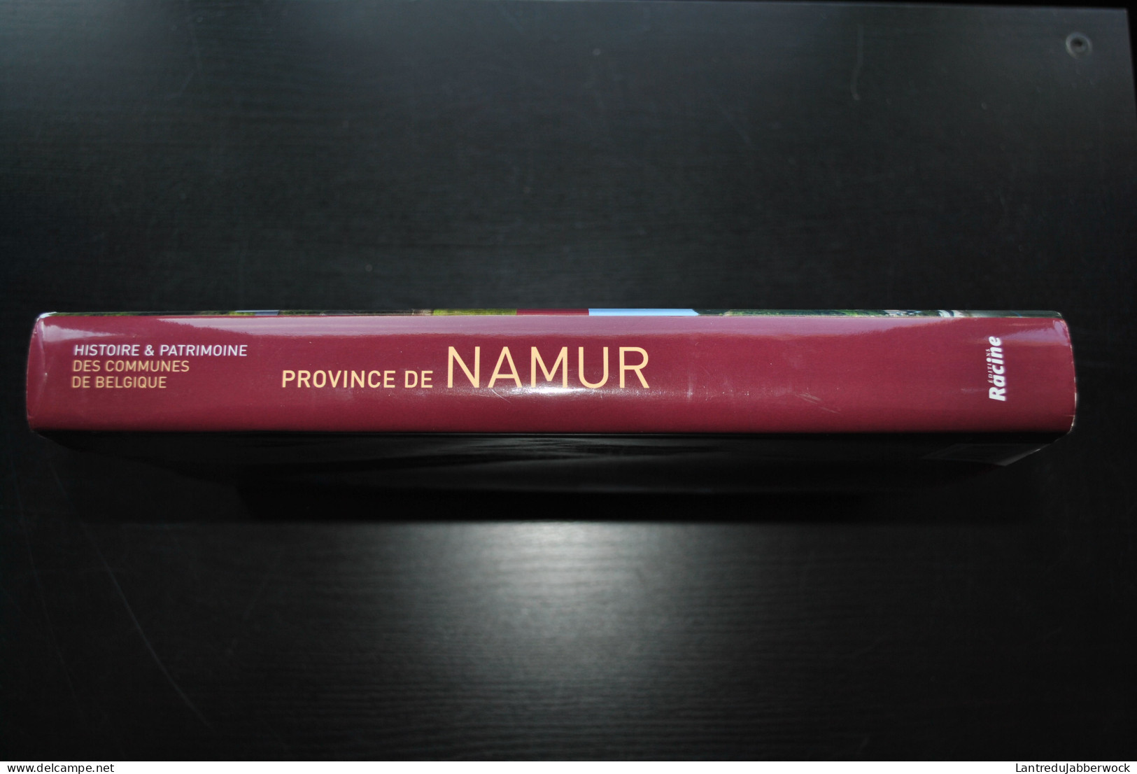 Province Du Namur Histoire & Patrimoine Des Communes De Belgique Régionalisme Anhée Bièvre Sambreville Philippeville.... - Belgien