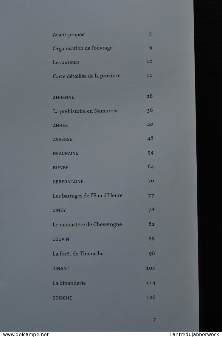 Province Du Namur Histoire & Patrimoine Des Communes De Belgique Régionalisme Anhée Bièvre Sambreville Philippeville.... - Belgique