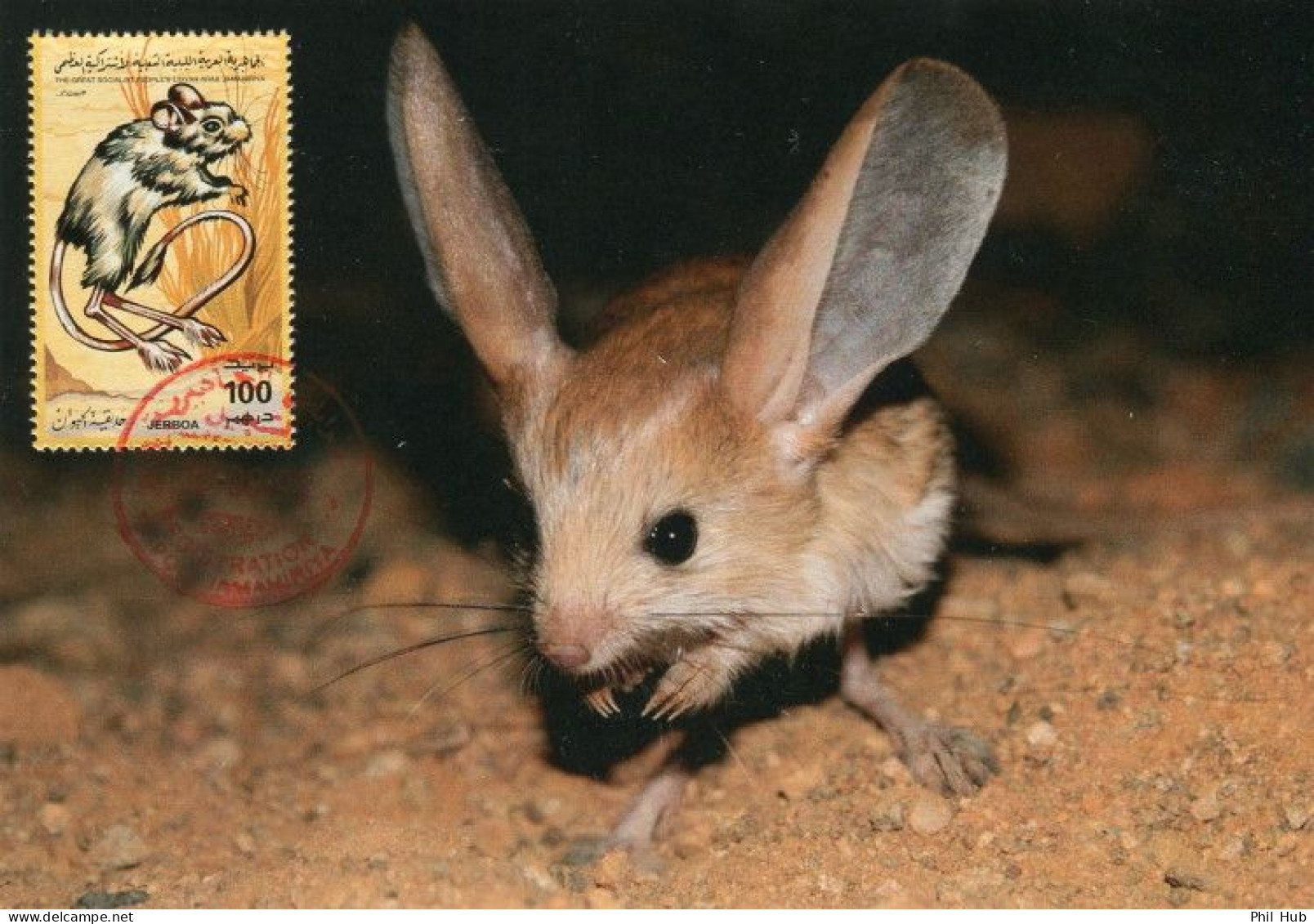 LIBYA 1995 Libyan Zoo Wildlife "Jerboa" (maximum-card) #16 - Roedores