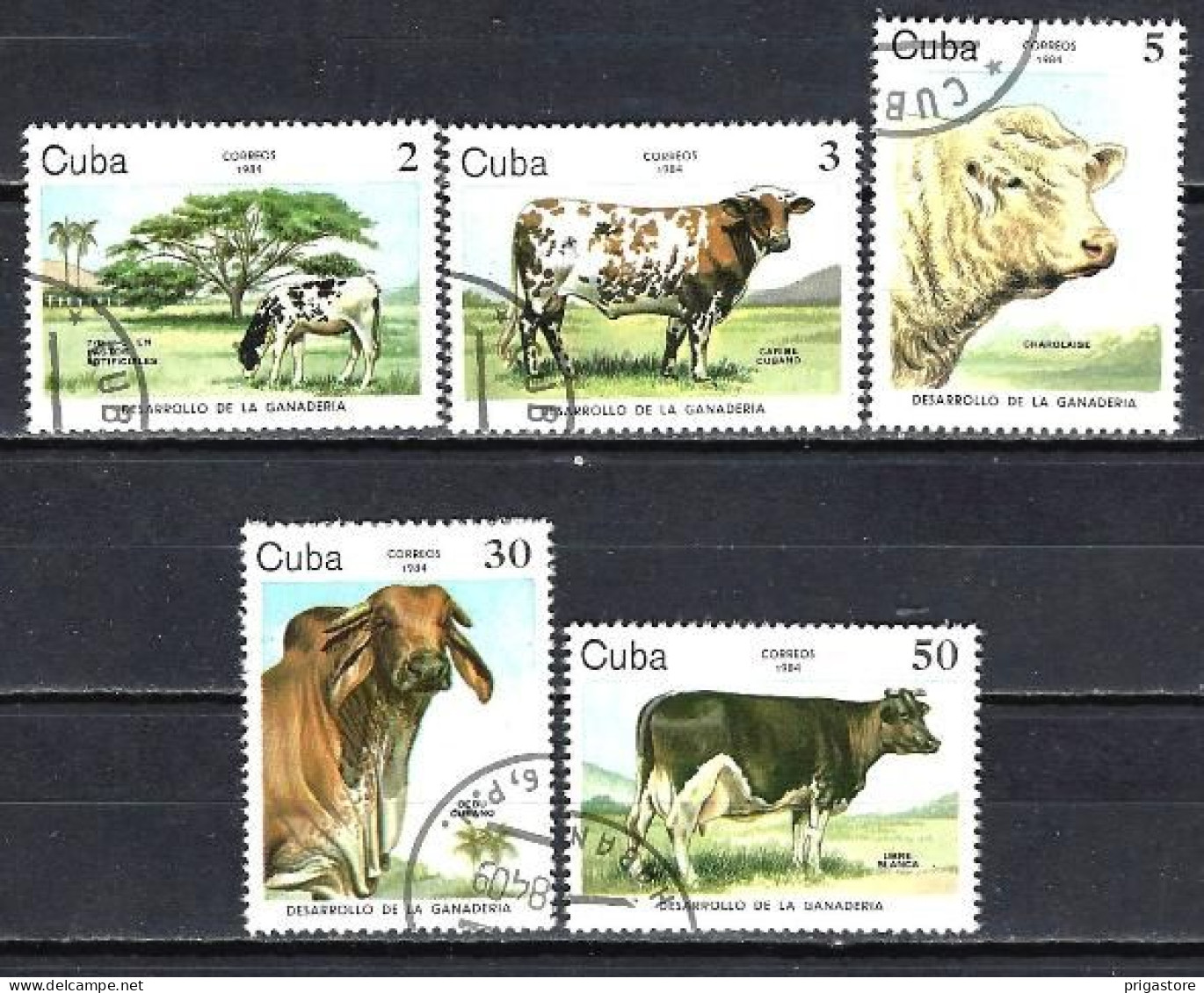 Cuba 1984 Animaux Bovins (200) Yvert 2570 à 2574 Oblitérés Used - Oblitérés