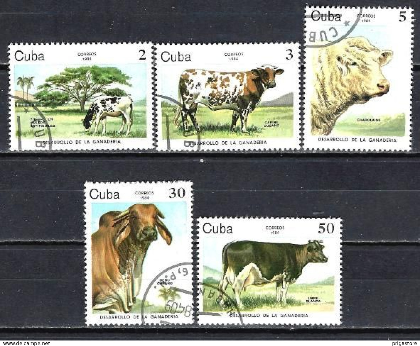 Animaux Bovins Cuba 1984 (200) Yvert 2570 à 2574 Oblitérés Used - Farm