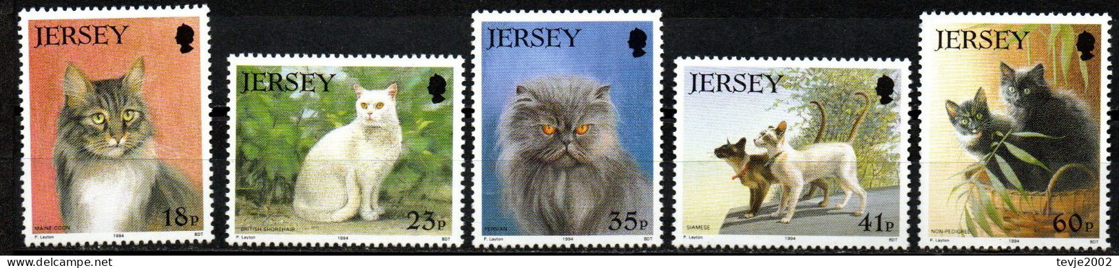 Jersey 1994 - Mi.Nr. 645 - 649 - Postfrisch MNH - Tiere Animals Katzen Cats - Gatos Domésticos