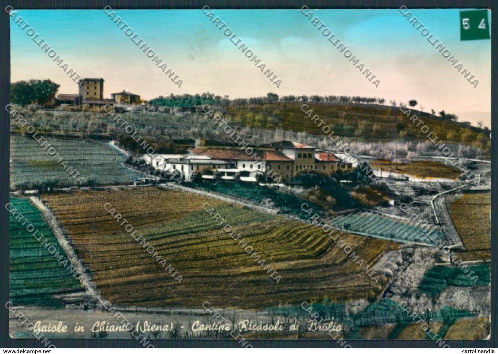 Siena Gaiole ADESIVO Foto FG Cartolina MV0520 - Siena