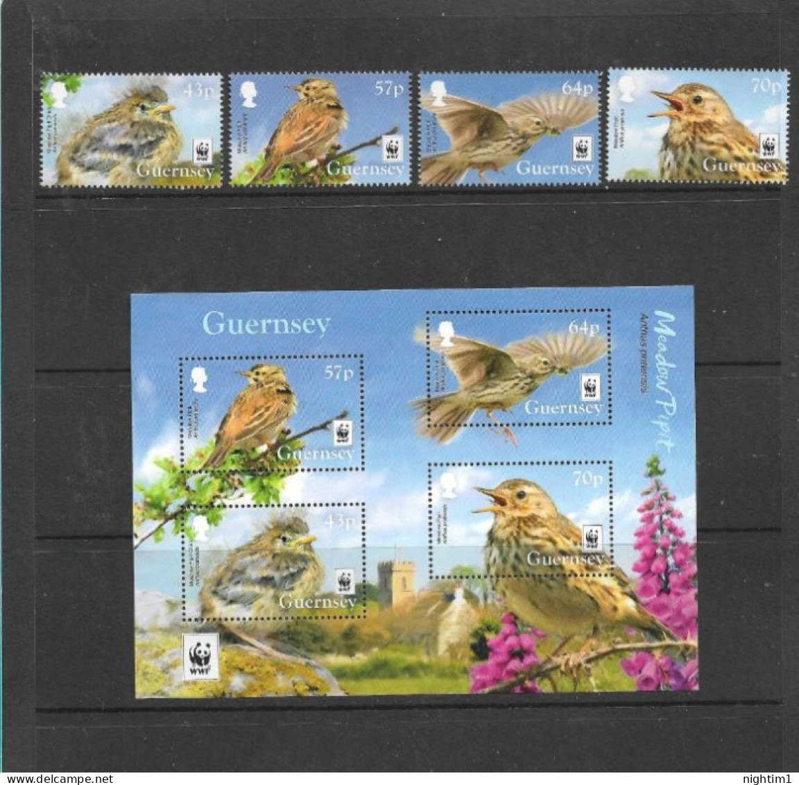 GUERNSEY COLLECTION.  MEADOW PIPIT. SET OF 4 AND MINIATURE SHEET. UNMOUNTED MINT. - Guernesey