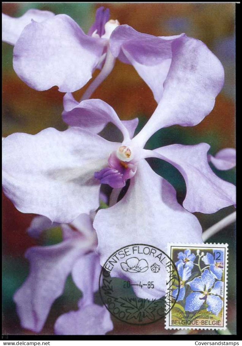 2163 - MK - Gentse Floraliën VII, Orchideeën - 1981-1990
