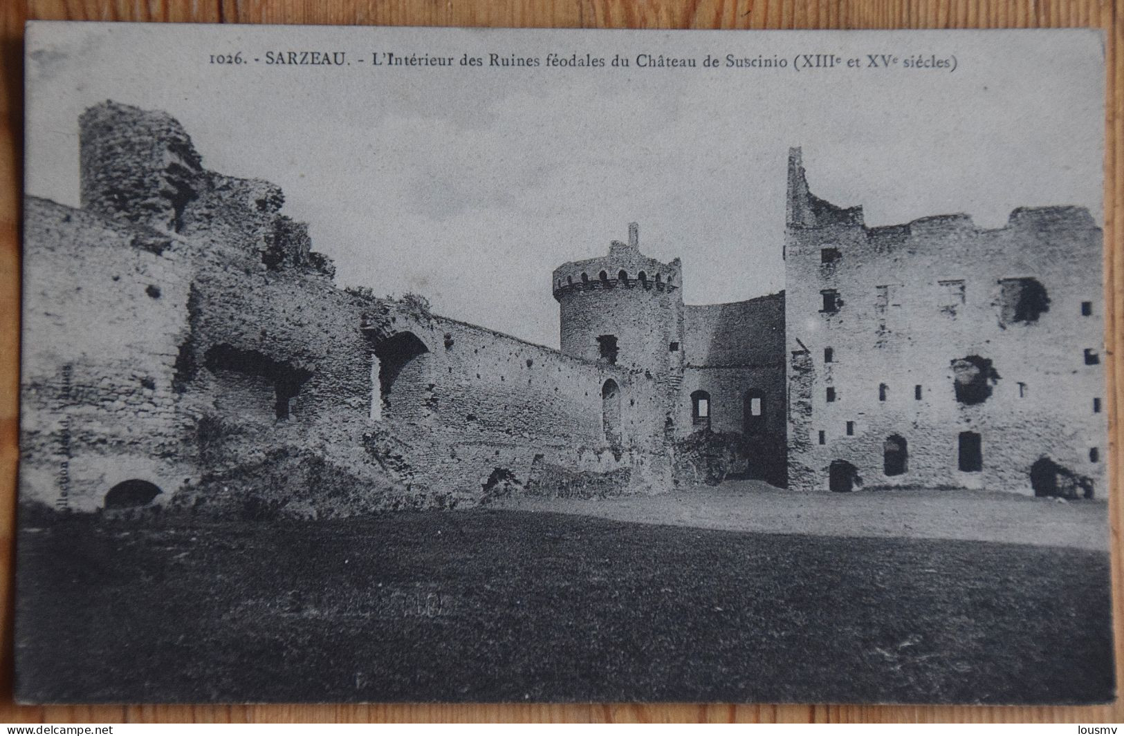 56 : Sarzeau - L'intérieur Des Ruines Féodales Du Château De Suscinio - Traces De Points De Colle Au Dos - (n°29020) - Sarzeau