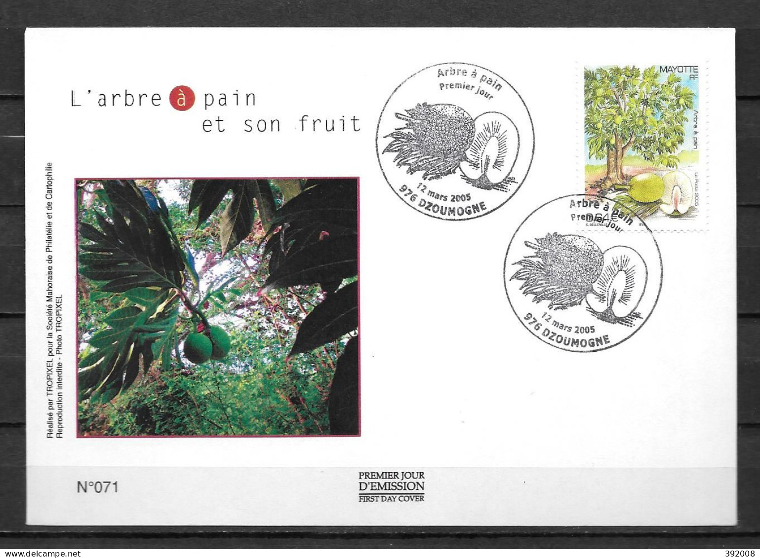 2005 - 172 - FDC - Arbre à Pain - 9 - Other & Unclassified