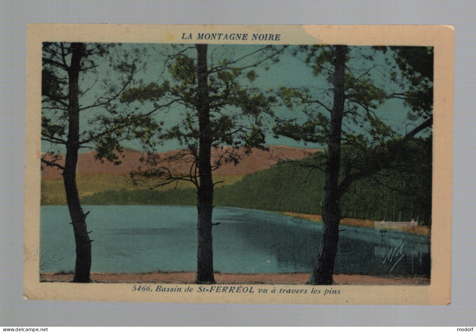 CPA - 31 - La Montagne Noire - Bassin De St-Ferréol Vu à Travers Les Pins - Colorisée - Circulée - Saint Ferreol