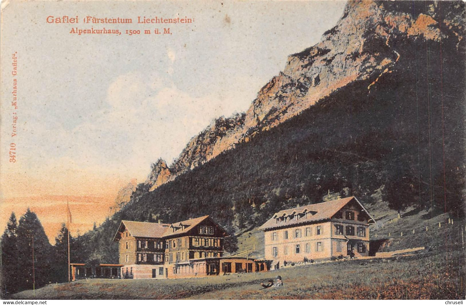 Gaflei Alpenkurhaus Color - Liechtenstein