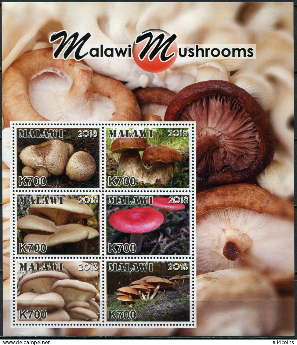 Malawi 2018. Mushrooms Of Malawi (MNH OG) Miniature Sheet - Malawi (1964-...)