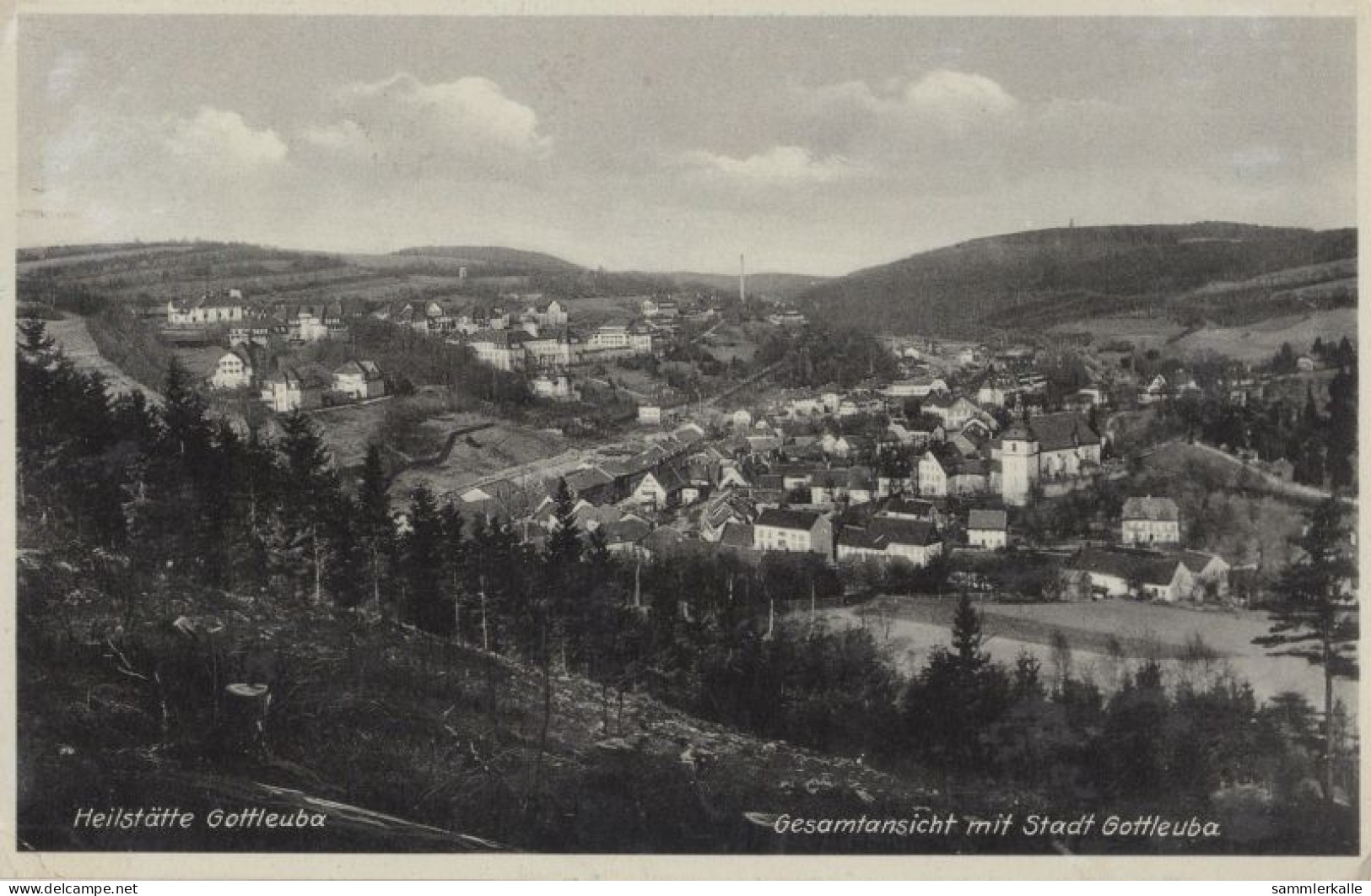 125554 - Bad Gottleuba - Gesamtansicht - Bad Gottleuba-Berggiesshuebel