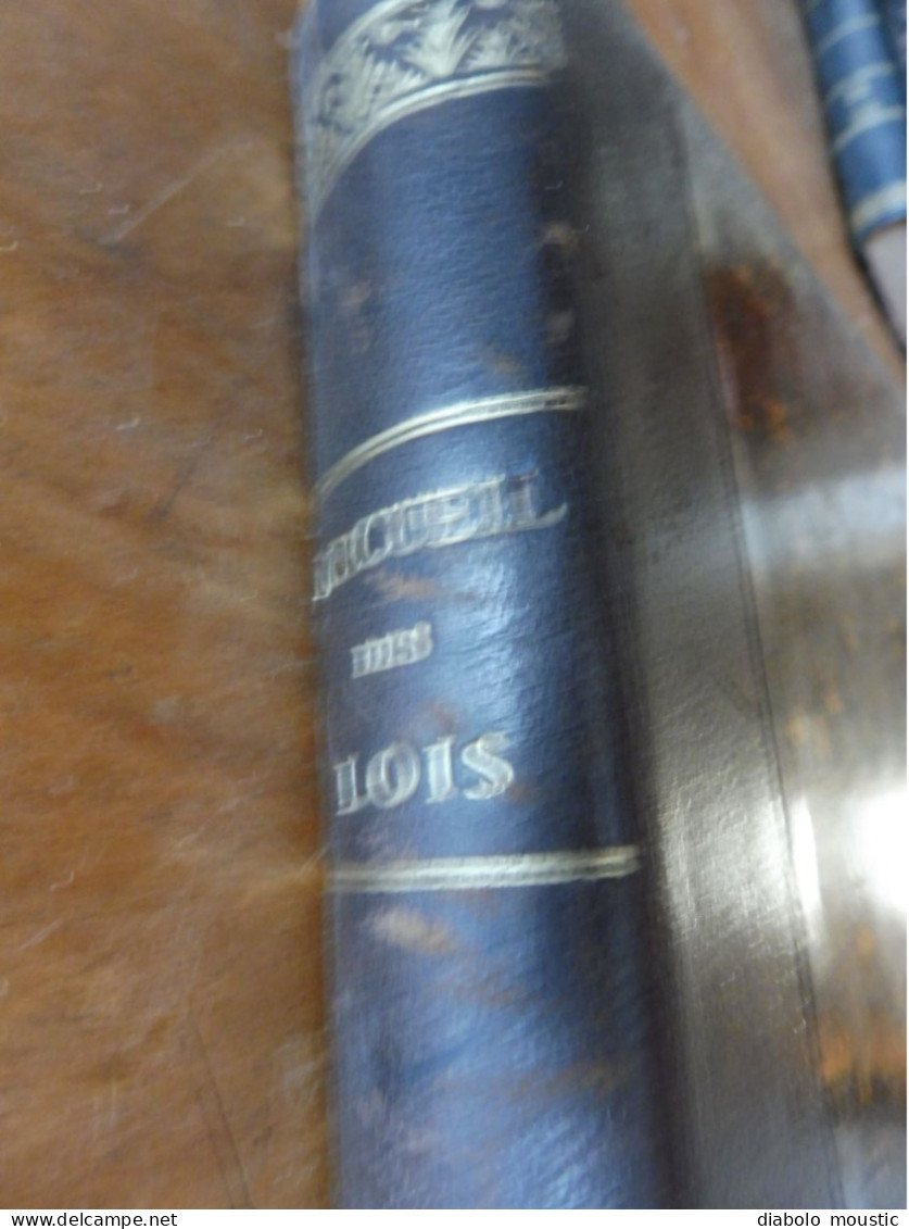 1910  RECUEIL Des LOIS : Prostitution Des Mineurs, Légion étrangère, Sections Spéciales, Raisins Et Vendange; Etc ; Etc - Decrees & Laws