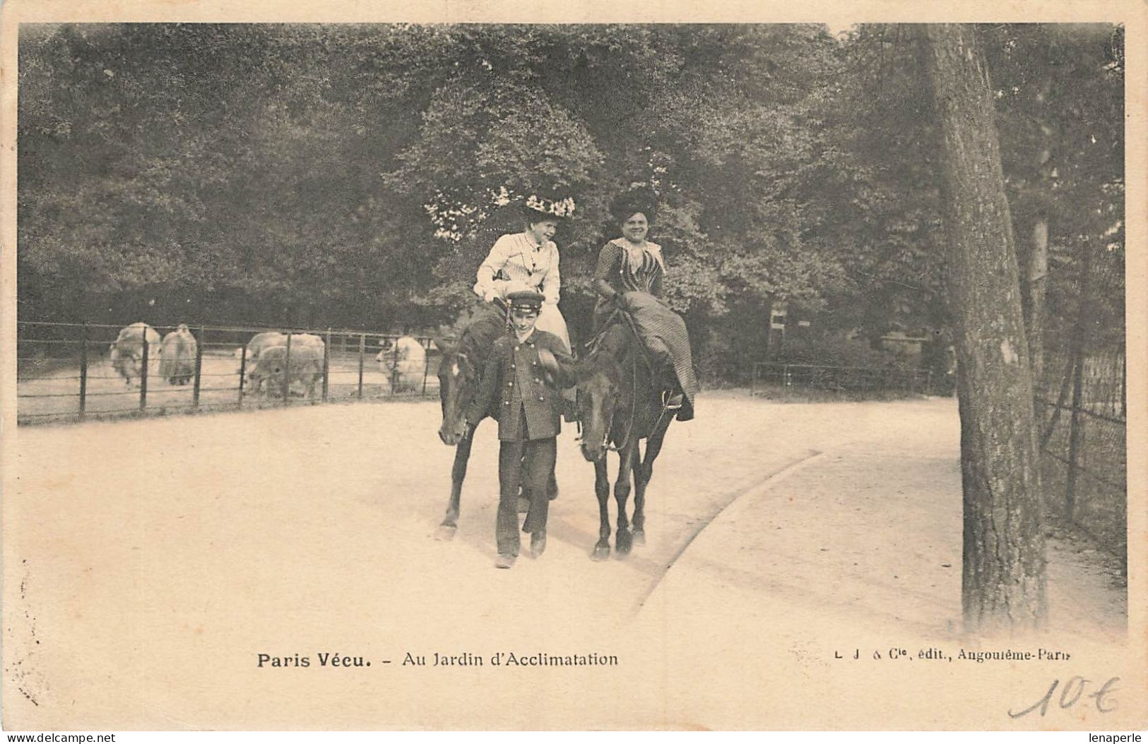 D6325 PARIS VECU Au Jardin D'acclimatation - Parcs, Jardins