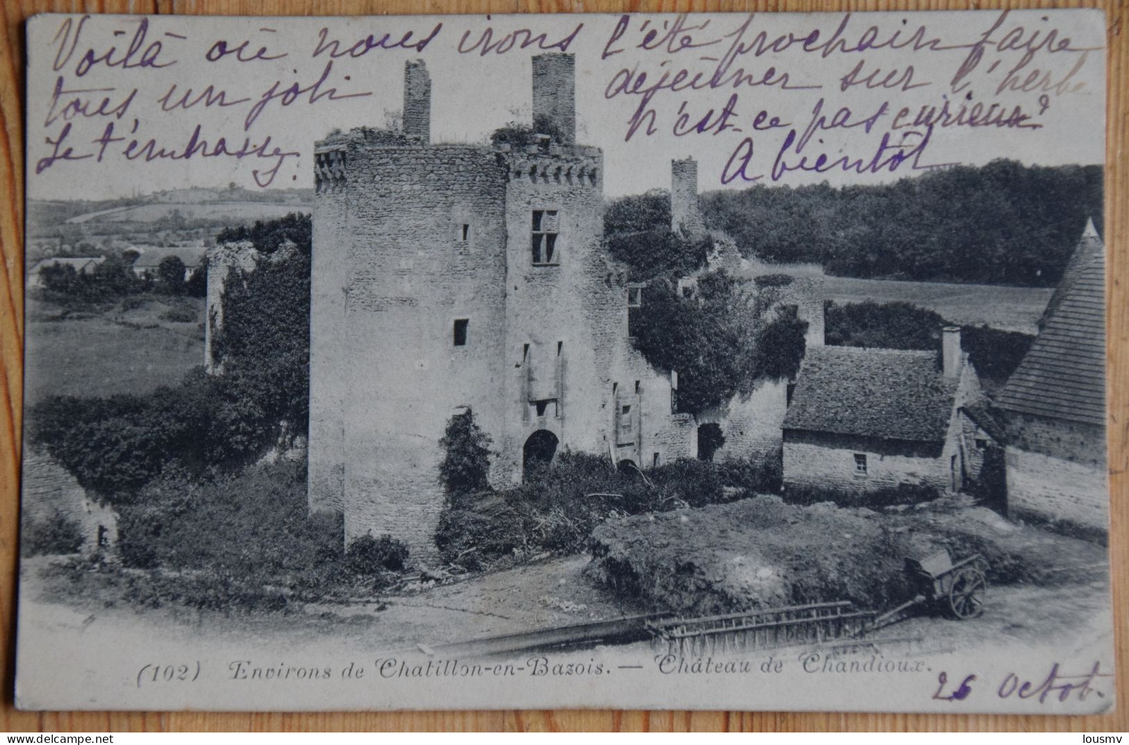 58 : Environs De Châtillon-en-Bazois - Château De Chandioux - Dos Simple 1903 - (n°29032) - Chatillon En Bazois