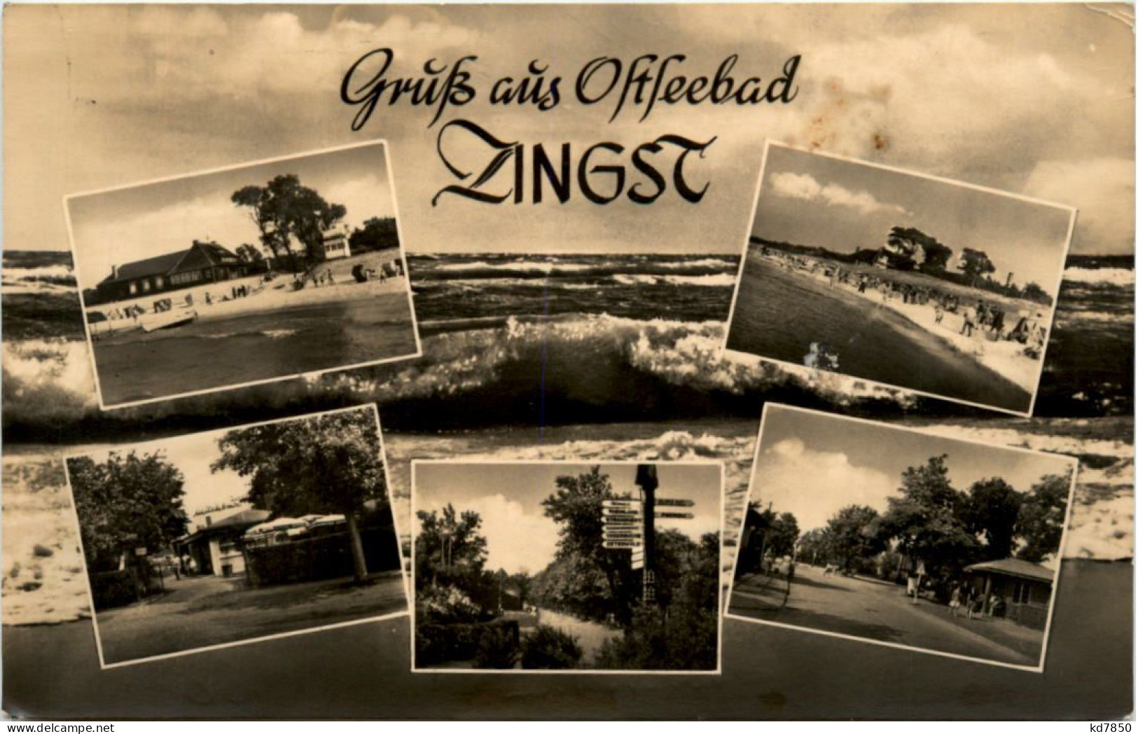 Gruss Aus Ostseebad Zingst - Zingst