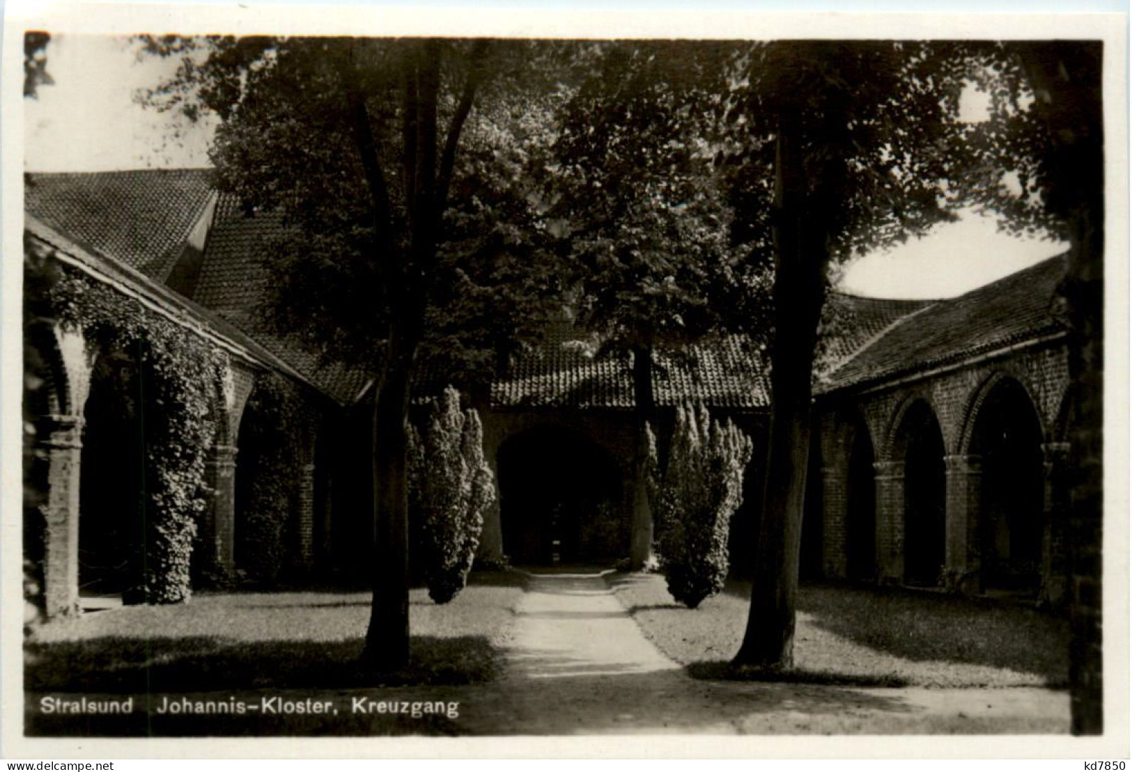 Stralsund, Johannis-Kloster, Kreuzgang - Stralsund