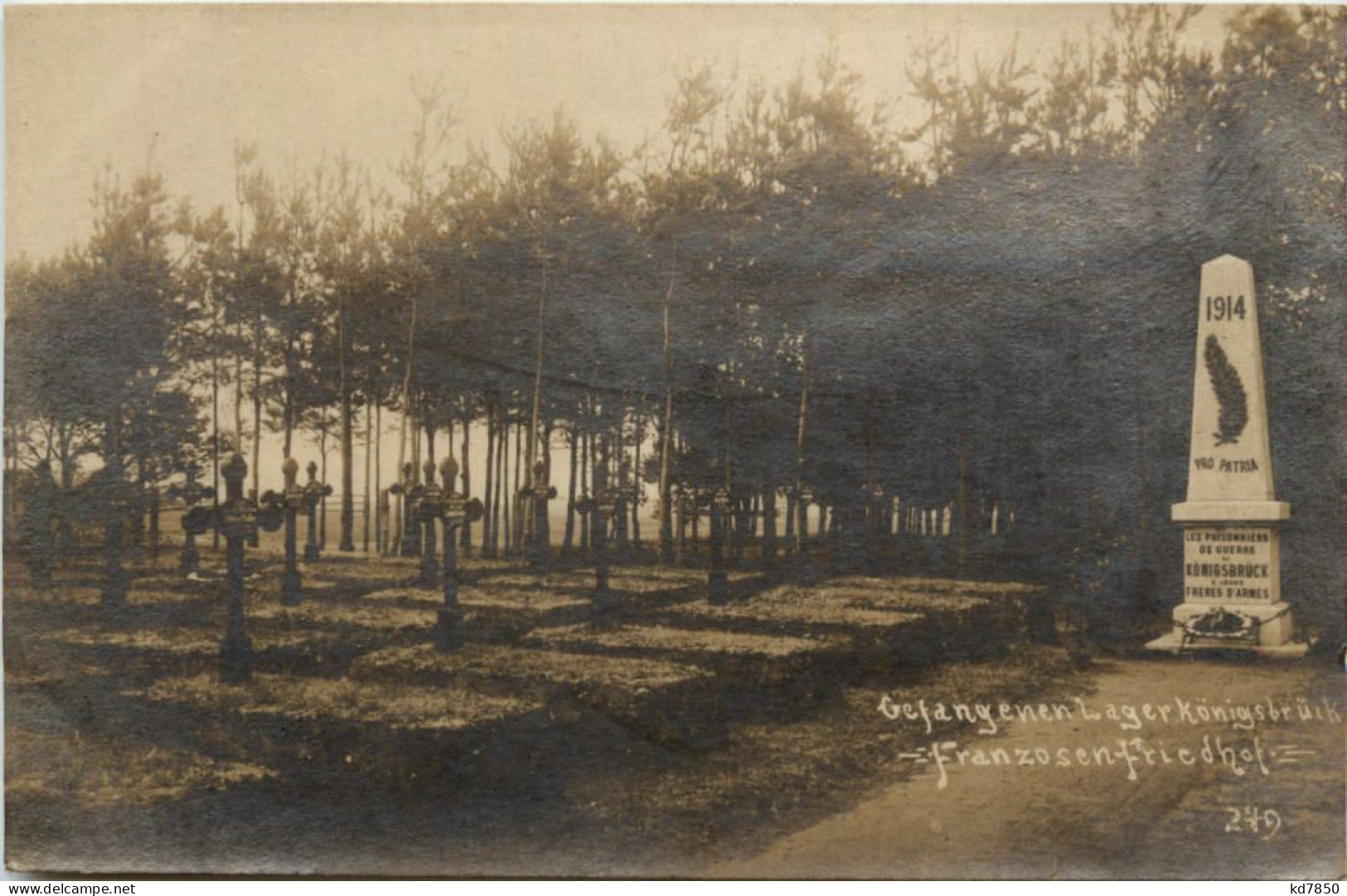 Gefangenen Lager Königsbrück - Franzosen Friedhof - Koenigsbrueck