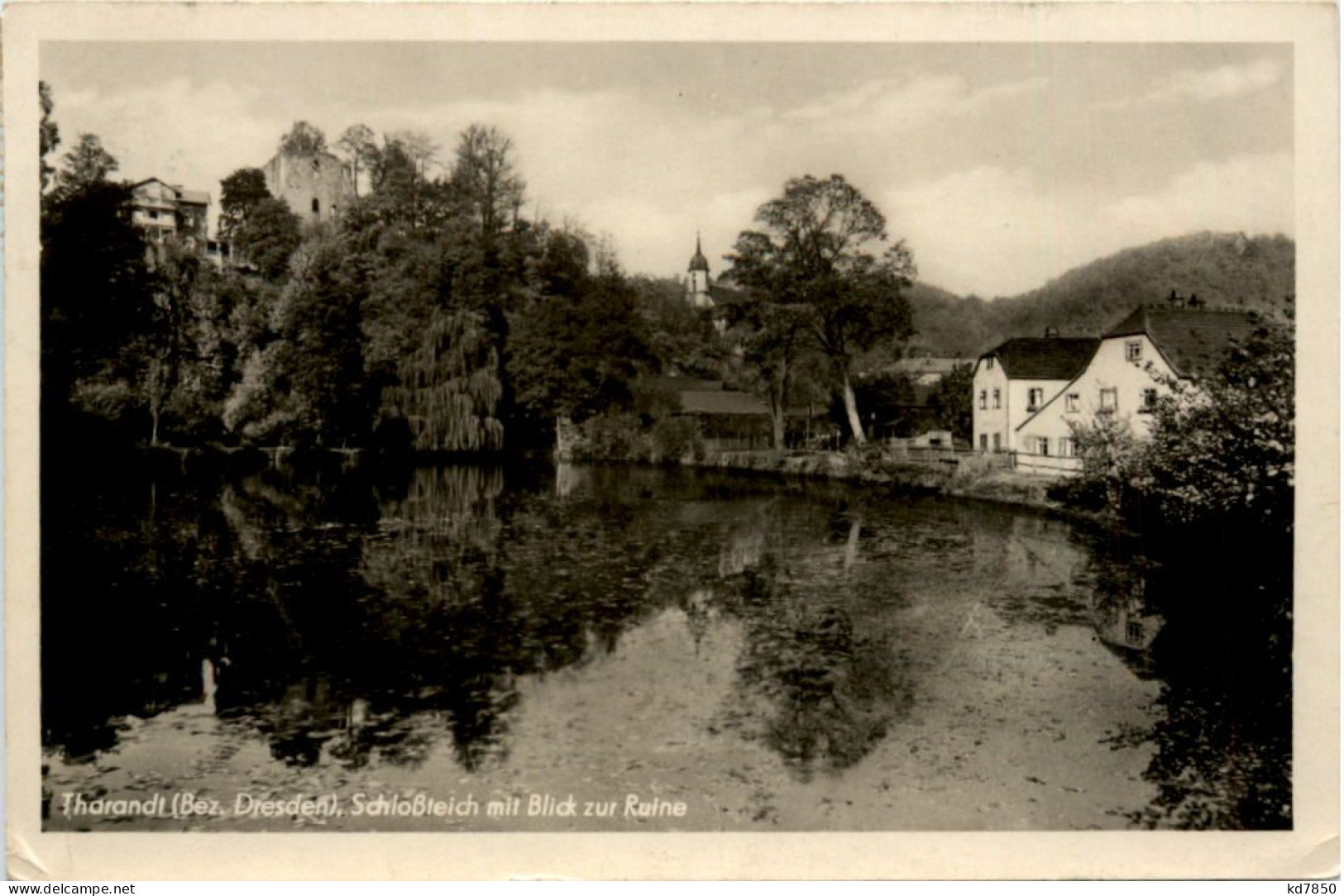 Tharandt, Schlossteich Mit Blick Zur Ruine - Tharandt