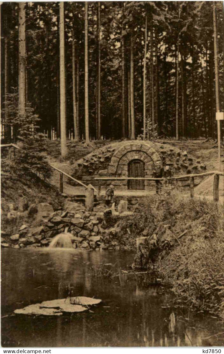 Die Warnsdorfer Quelle Im Grillenburger Walde - Tharandt