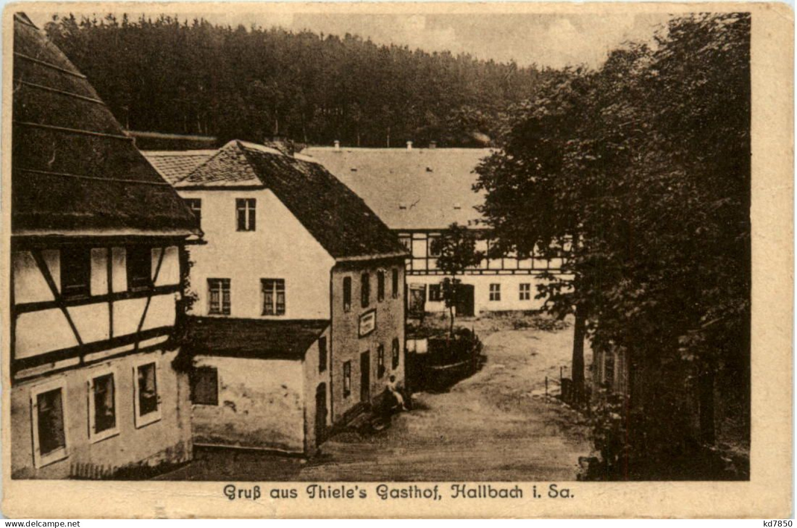 Hallbach In Sachsen - Gruss Aus Thieles Gasthof - Olbernhau - Olbernhau