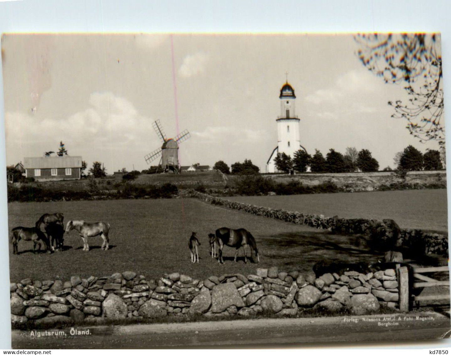 Öland - Algutsrum - Suède