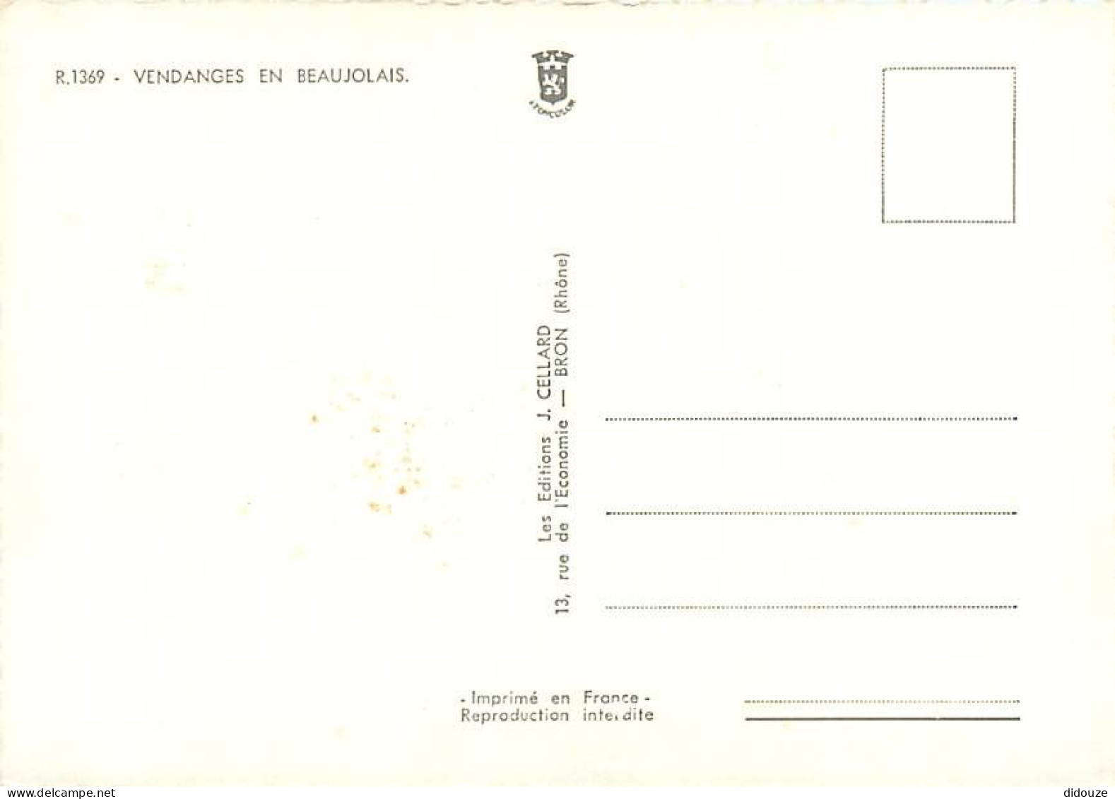 Vignes - Beaujolais - Multivues - Vendanges - Carte Dentelée - CPSM Grand Format - Voir Scans Recto-Verso - Wijnbouw