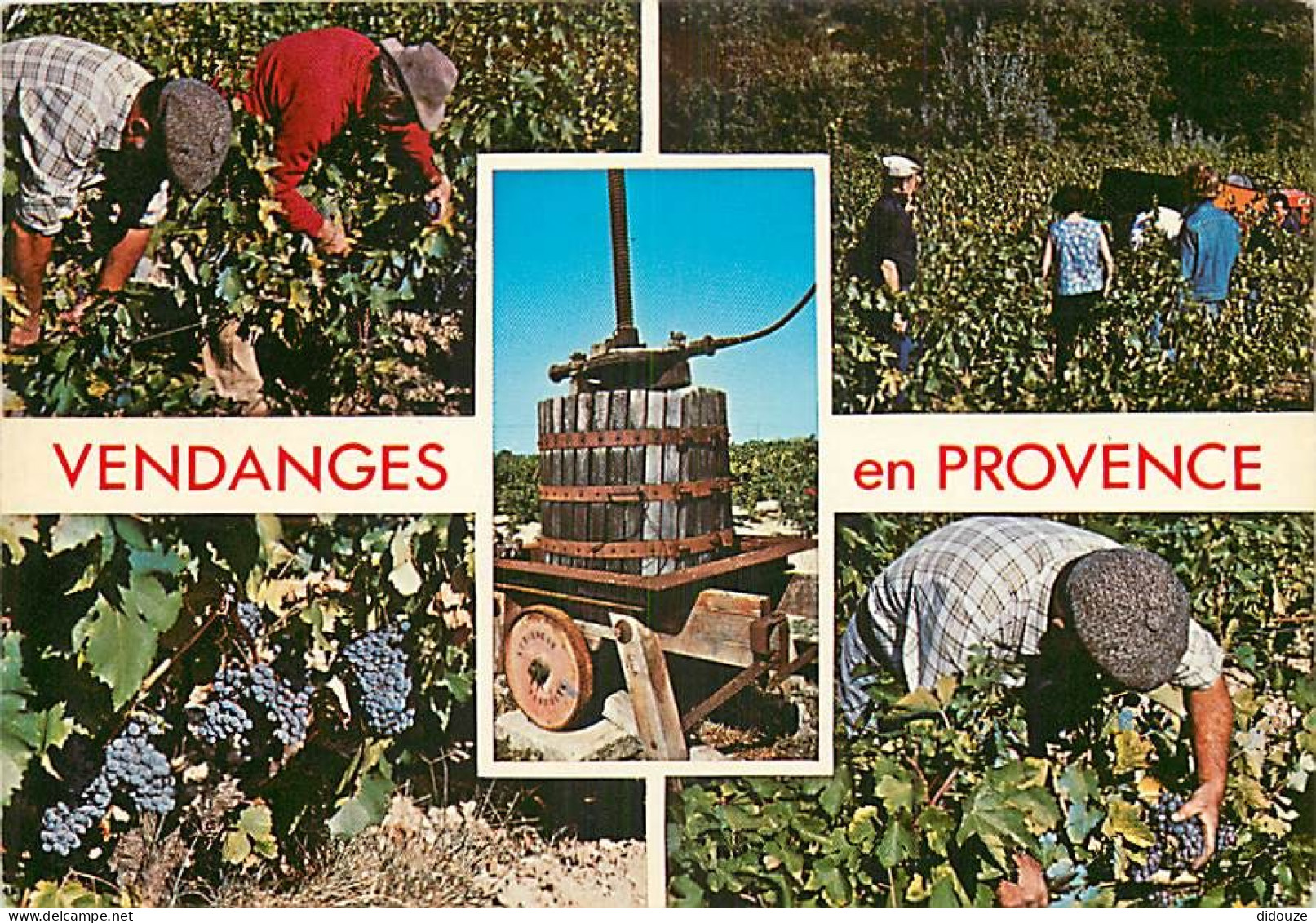 Vignes - Vendanges En Provence - Multivues - CPM - Flamme Postale - Voir Scans Recto-Verso - Viñedos