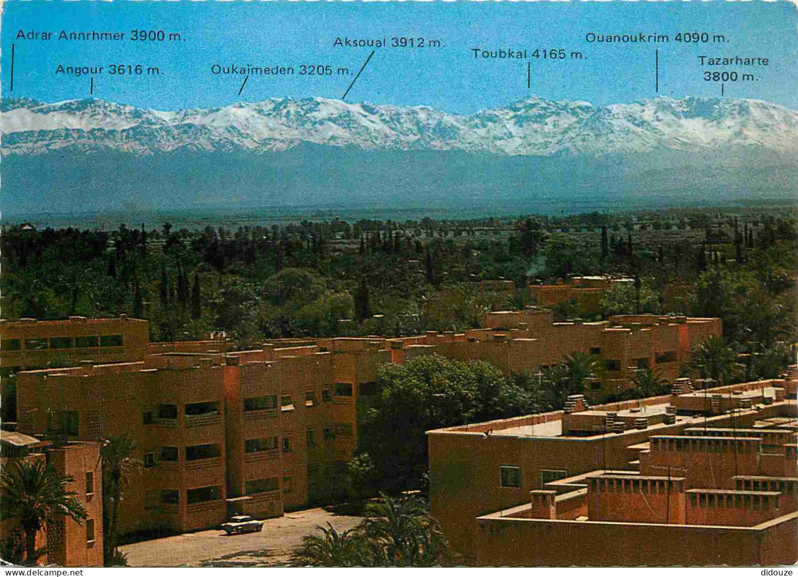 Maroc - Marrakech - Panorama Avec Grand Atlas - Carte Dentelée - CPSM Grand Format - Carte Neuve - Voir Scans Recto-Vers - Marrakesh