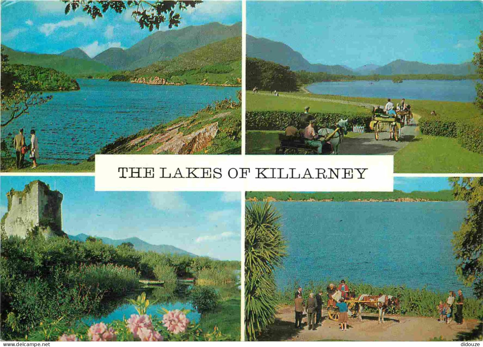 Irlande - Kerry - Killarney - Lakes Of Killarney - Multivues - Attelage De Chevaux - CPM - Voir Scans Recto-Verso - Kerry