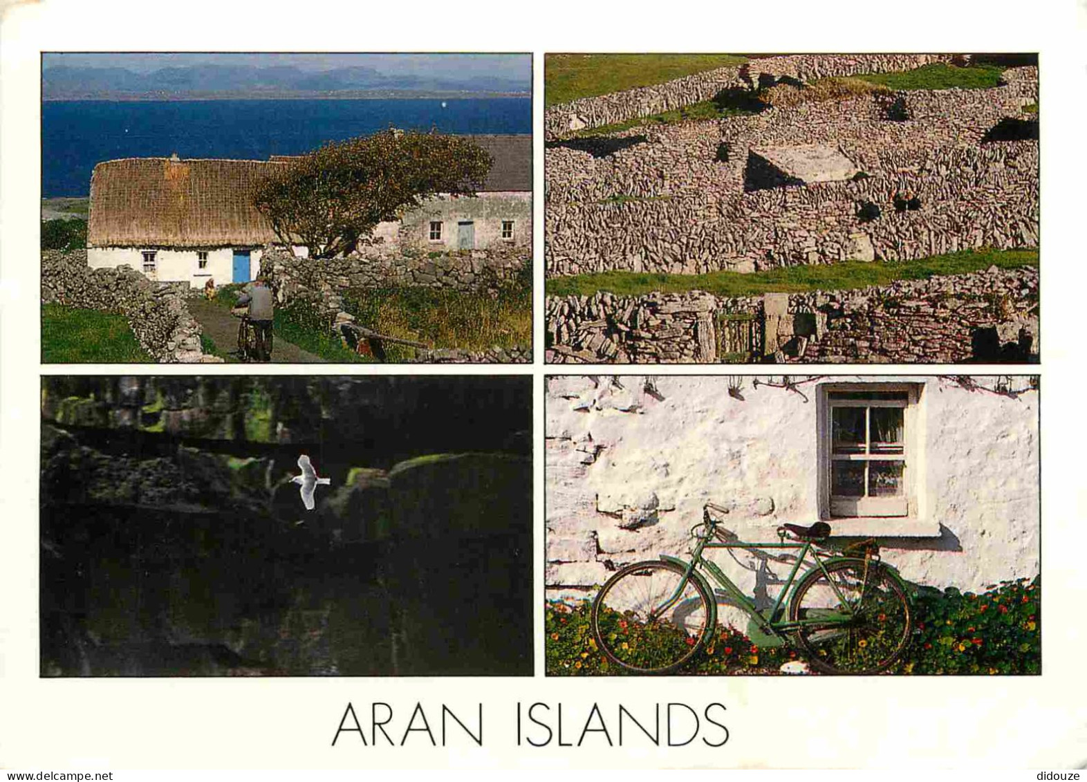 Irlande - Galway - Aran Islands - Multivues - Bicyclette - CPM - Voir Scans Recto-Verso - Galway