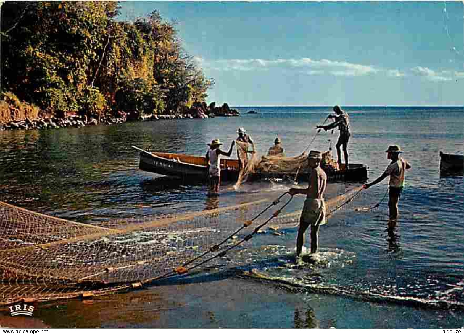 Antilles - Peche à La Senne - Voir Timbre - CPM - Voir Scans Recto-Verso - Autres & Non Classés