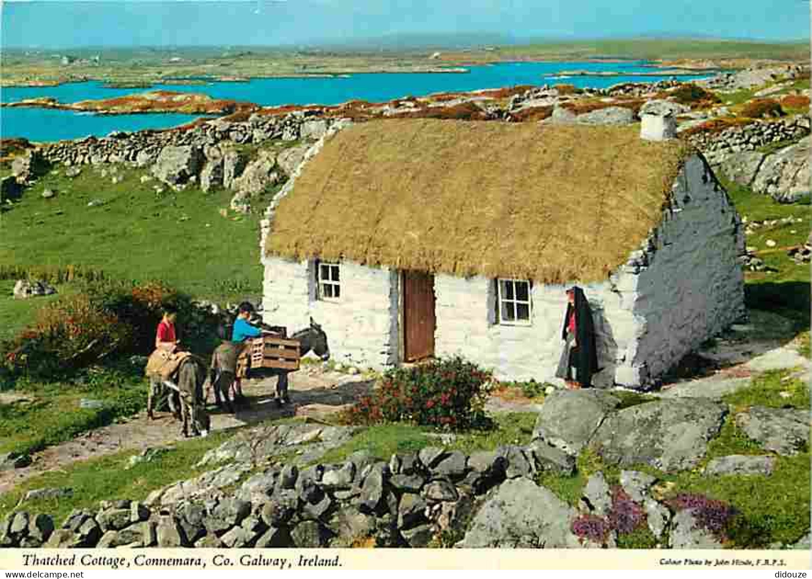 Irlande - Galway - Connemara - Thatched Cottage - Anes - Habitations - CPM - Voir Scans Recto-Verso - Galway