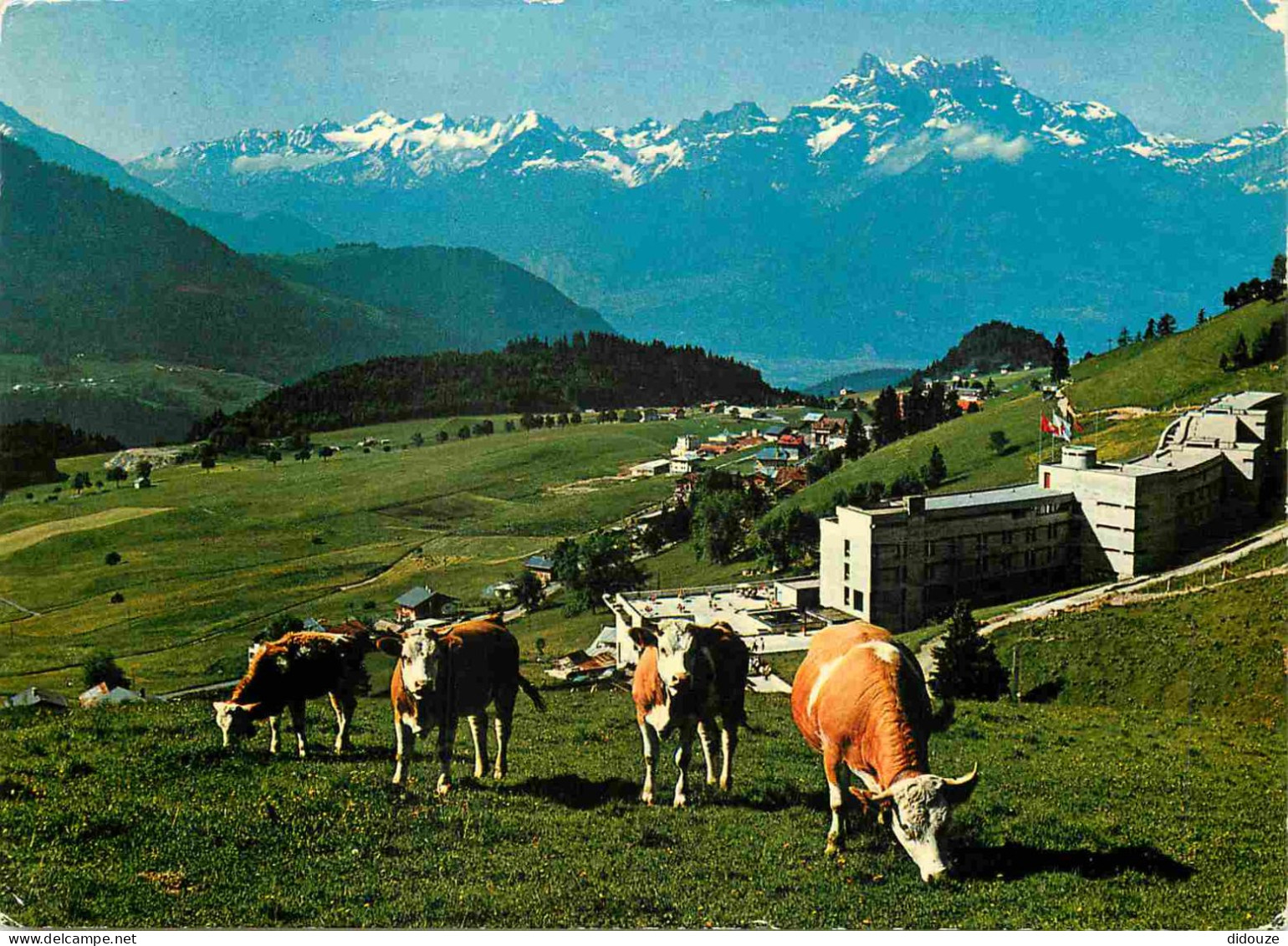 Animaux - Vaches - Suisse - Leysin - Hotel Reine Fabiola - Au Fond Les Dents-du-Midi - CPM - Voir Scans Recto-Verso - Vaches