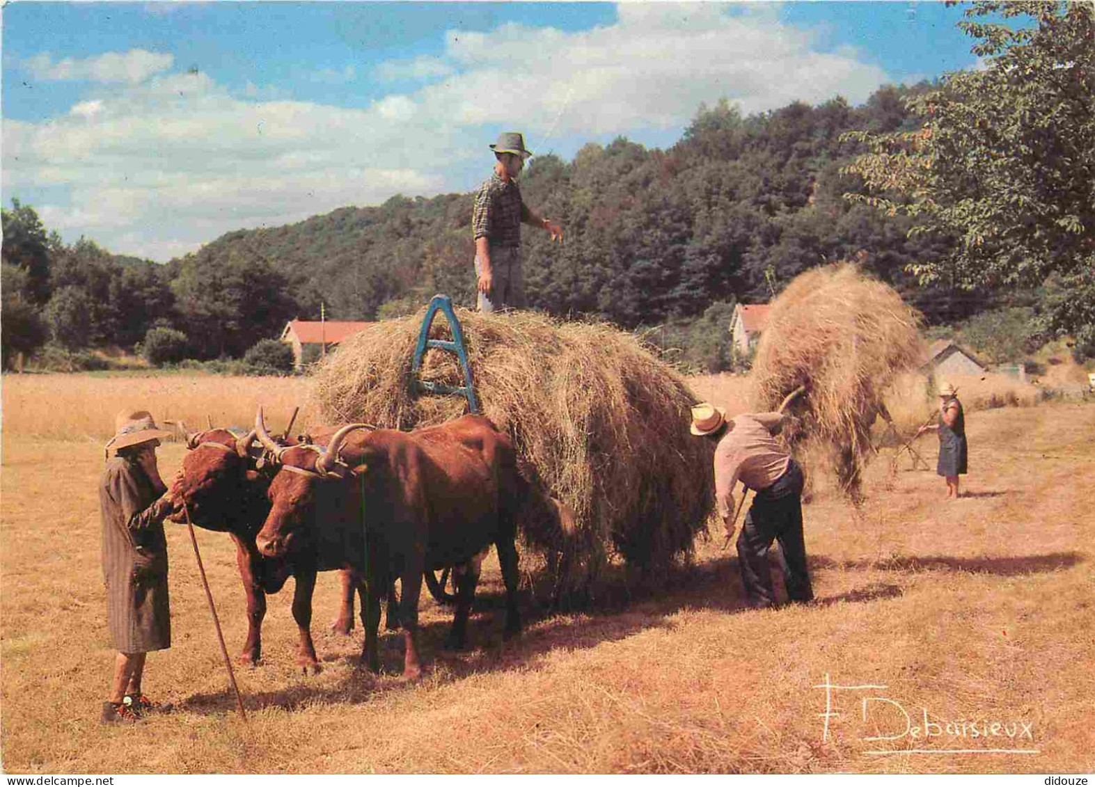 Animaux - Vaches - Attelage De Bœufs - Paysans - Fenaison - Photo Francis Debaisieux - CPM - Carte Neuve - Voir Scans Re - Vaches