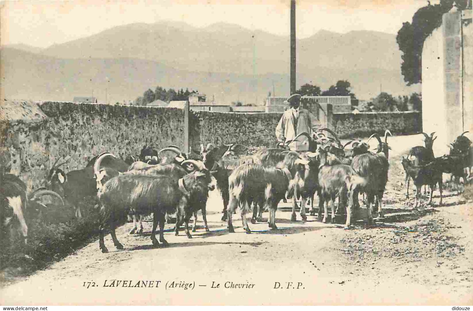 09 - Lavelanet - Le Chevrier - Animée - Berger - Chèvres - CPA - Voir Scans Recto-Verso - Lavelanet
