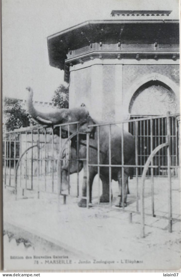 Carte Postale : 13 : MARSEILLE : Jardin Zoologique, L'Eléphant - Parks