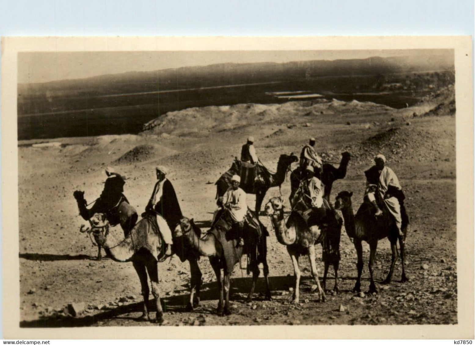 Cairo - Caravan At The Sahara Desert - Cairo