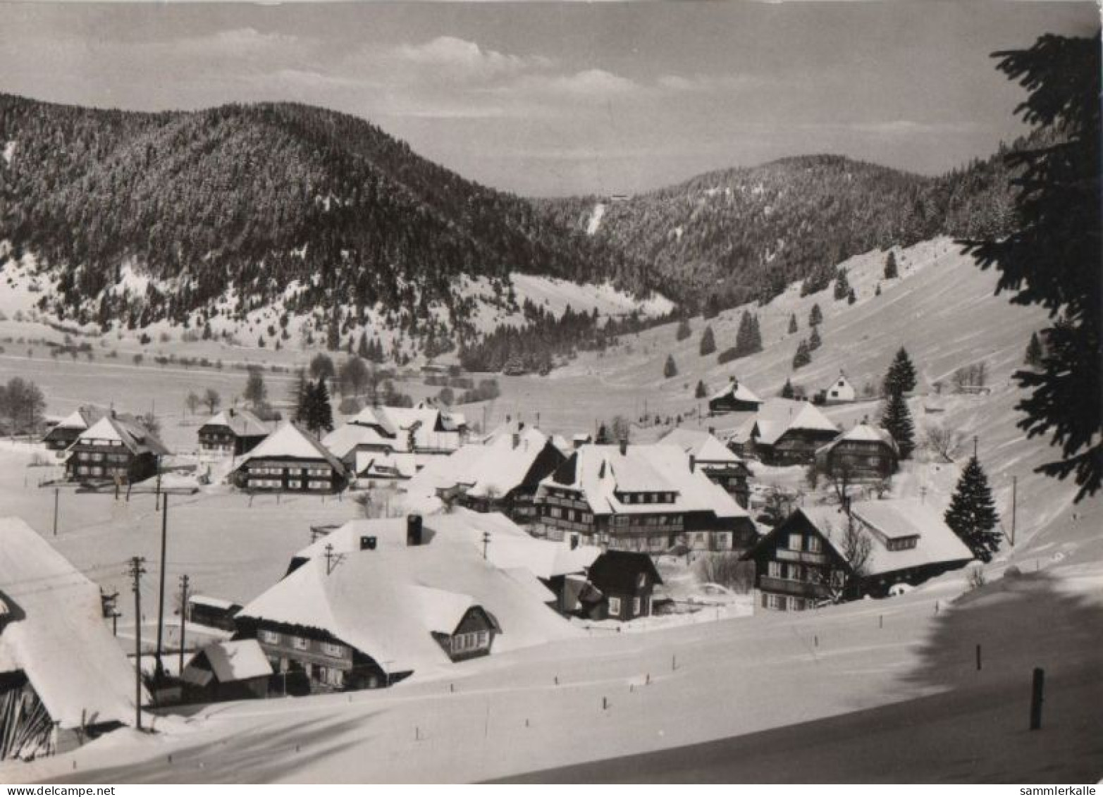 53317 - St. Blasien-Menzenschwand - Blick Zum Hochkopf - 1974 - St. Blasien