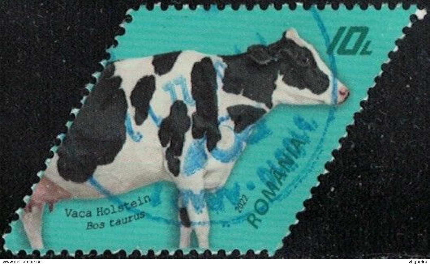 Roumanie 2022 Oblitéré Used Vache Holstein Race Bovine Y&T RO 6697 SU - Usati