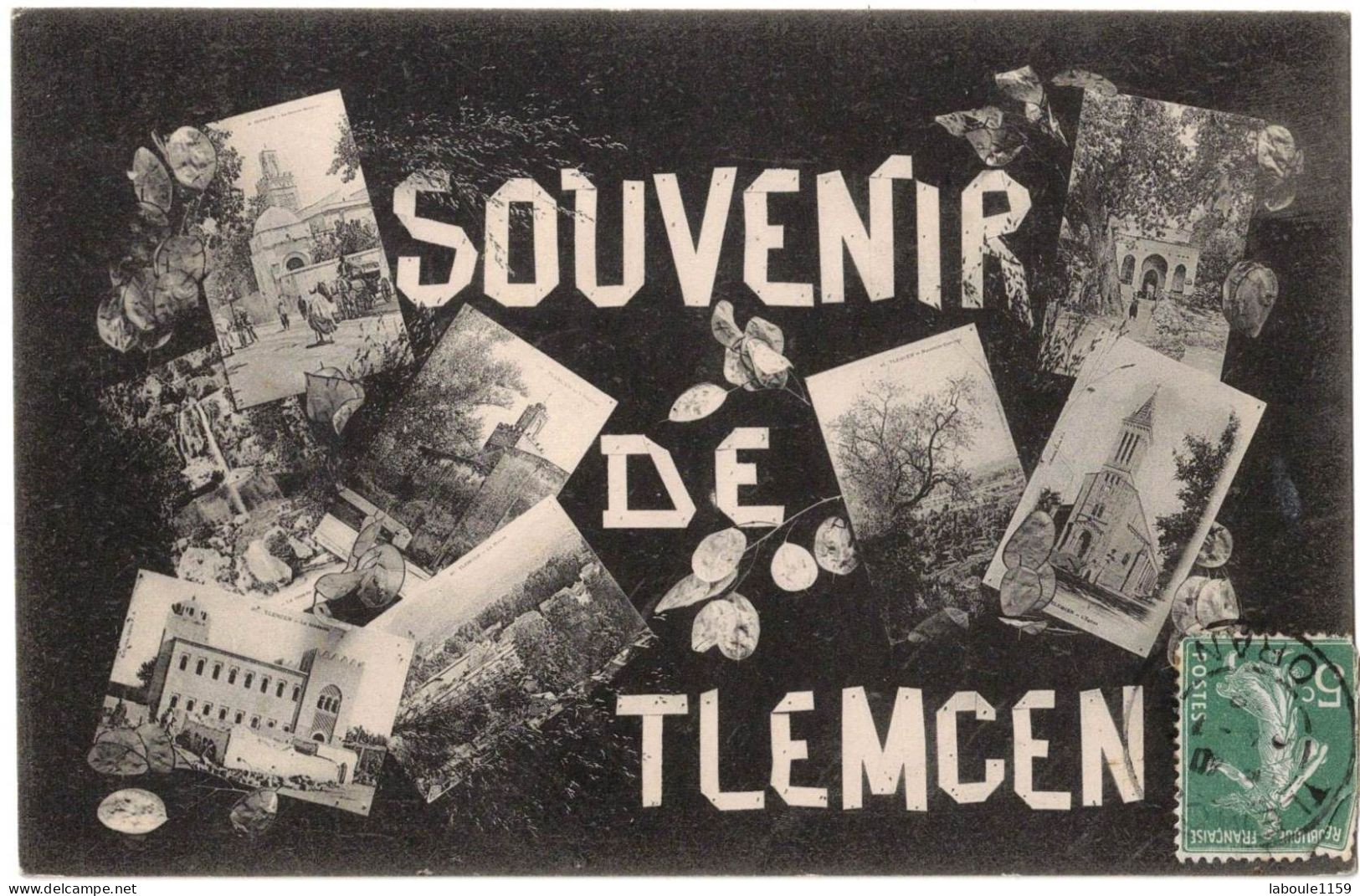 AFRIQUE DU NORD ALGERIE SOUVENIR MULTIVUES : DE TLEMCEN - CIRCULEE VERS AIN SEFROU - Tlemcen