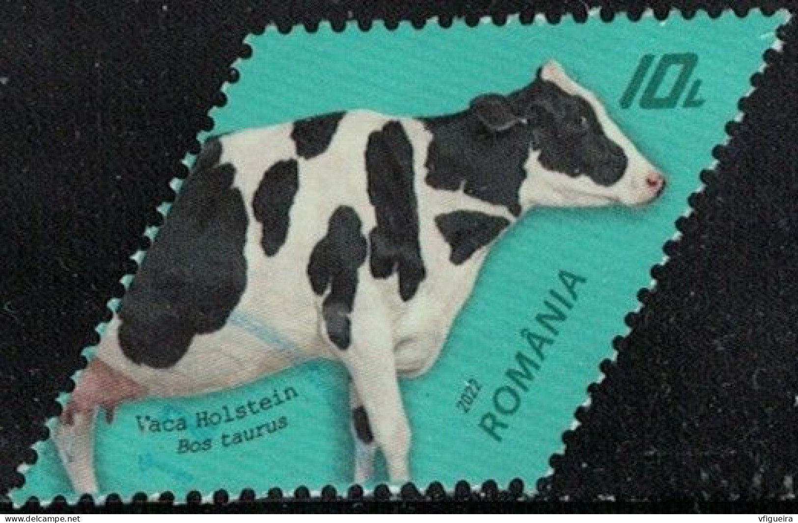 Roumanie 2022 Oblitéré Used Vache Holstein Race Bovine Y&T RO 6697 SU - Gebraucht