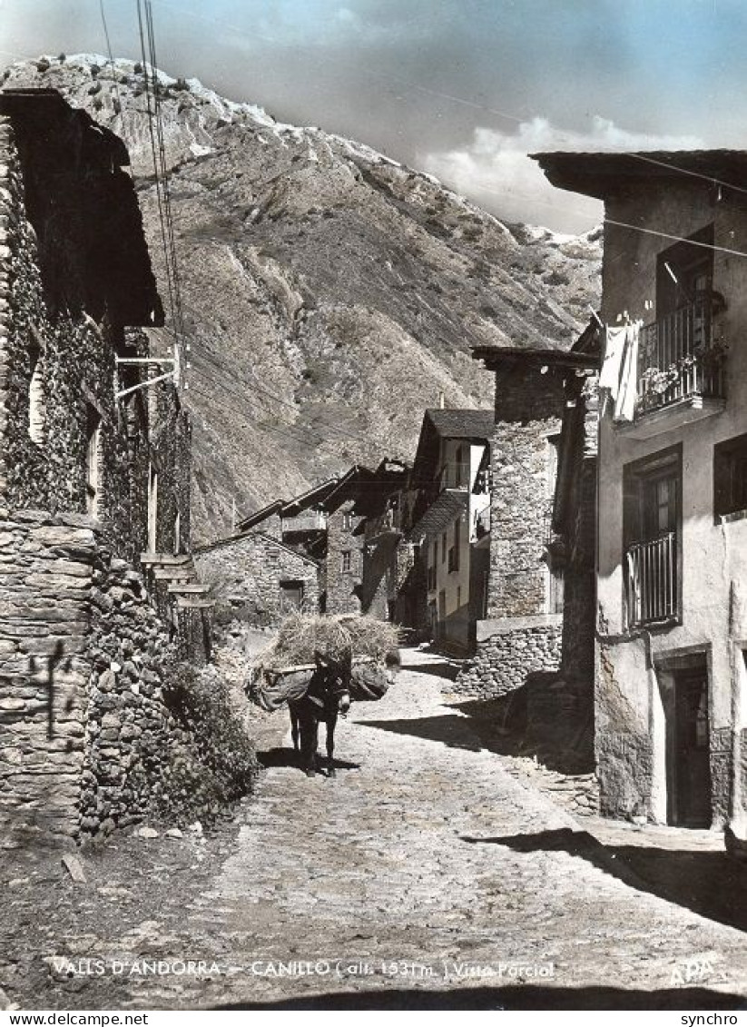 Valls Andorra  CANILLO ; Vieille Ru Du Village Format 15 X 20 - Andorra