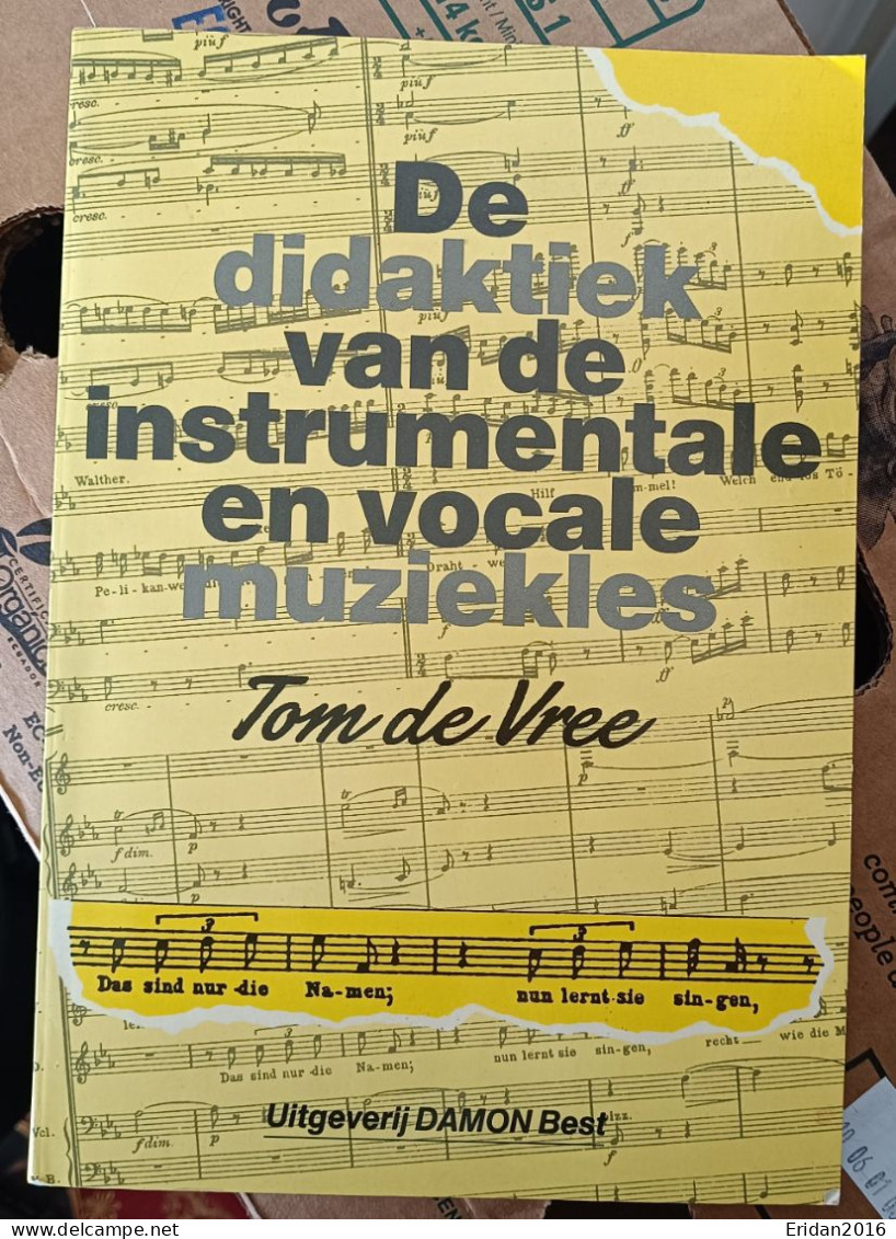 De Didactiek Van Instrumentale En Vocale Muzieklessen  : Tom De Vree  : GROOT FORMAAT - Praktisch