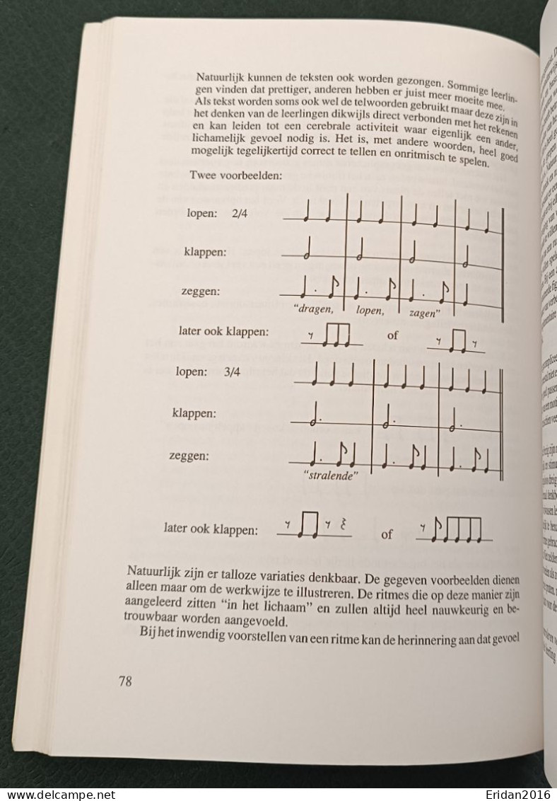 De Didactiek Van Instrumentale En Vocale Muzieklessen  : Tom De Vree  : GROOT FORMAAT - Vita Quotidiana