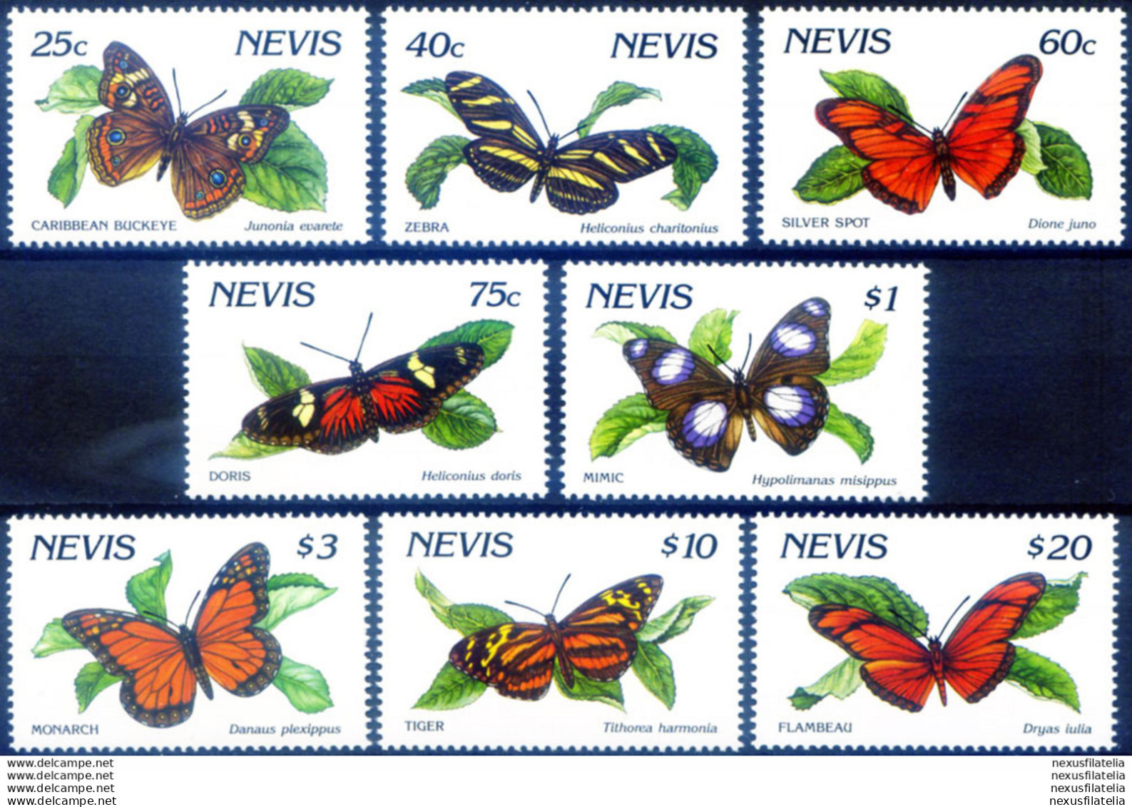 Definitiva. Fauna. Farfalle 1991. - St.Kitts Und Nevis ( 1983-...)