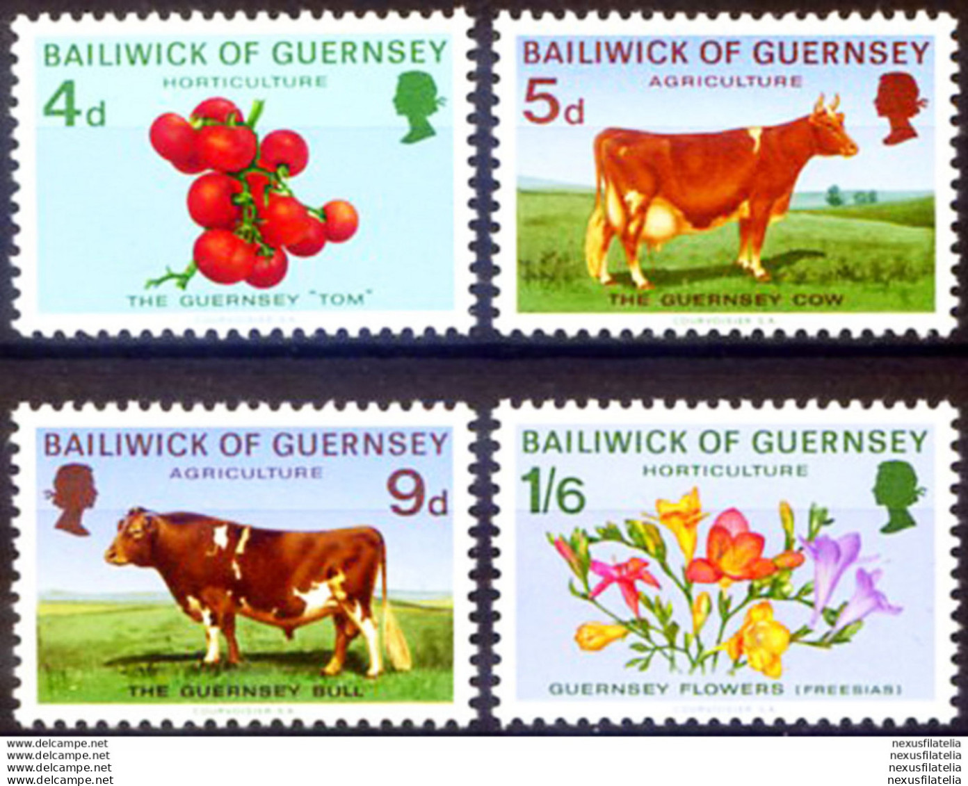 Agricoltura E Orticoltura. 1970 - Guernsey