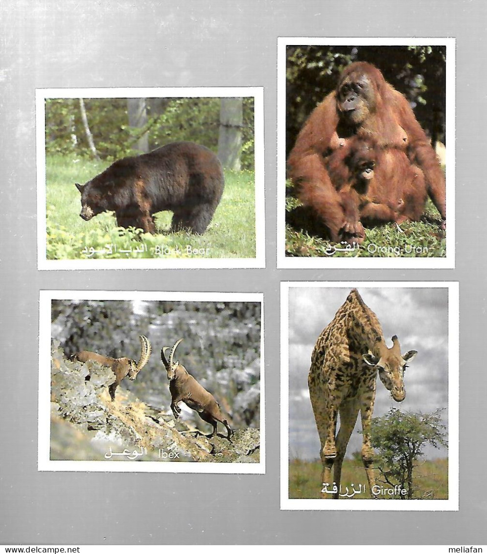 Y306 - VIGNETTES FROMAGERIE VACHE PICON - ANIMAUX SAUVAGE - IBEX GIRAFE BLACK BEAR ORANG OUTANG - Other & Unclassified
