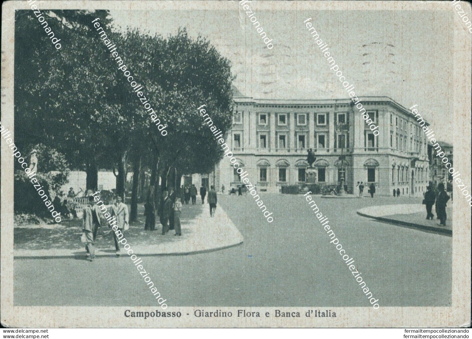 Bh324 Cartolina Campobasso Citta' Giardino Flora E Banca D'italia - Campobasso