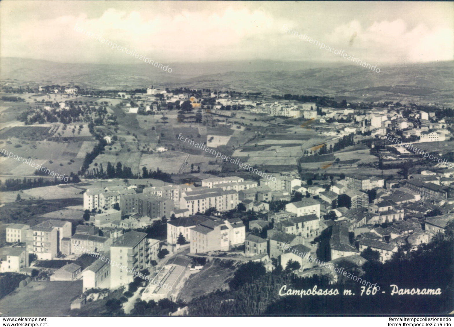 Ab703 Cartolina Campobasso Citta' Panorama - Campobasso