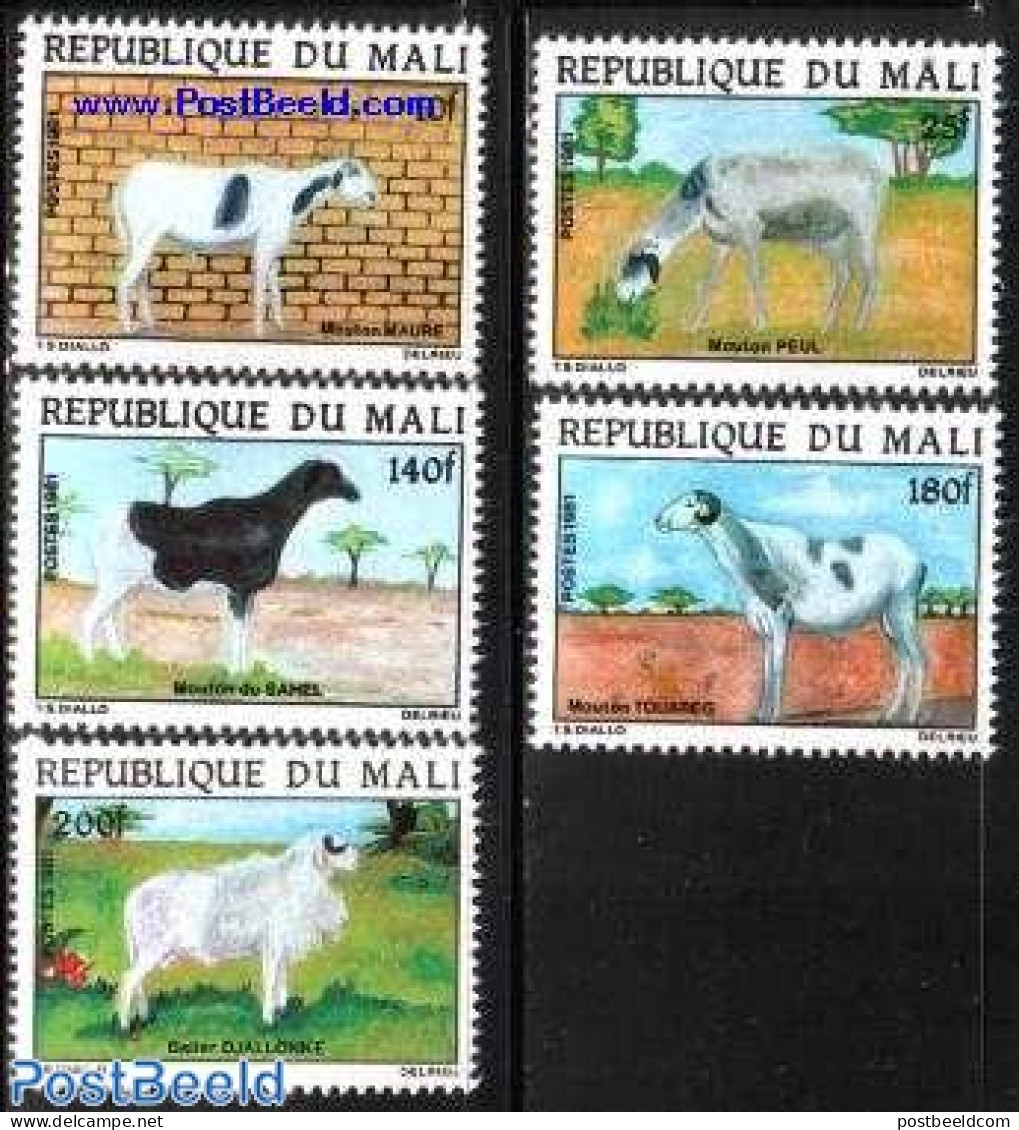 Mali 1981 Sheep 5v, Mint NH, Nature - Animals (others & Mixed) - Cattle - Malí (1959-...)